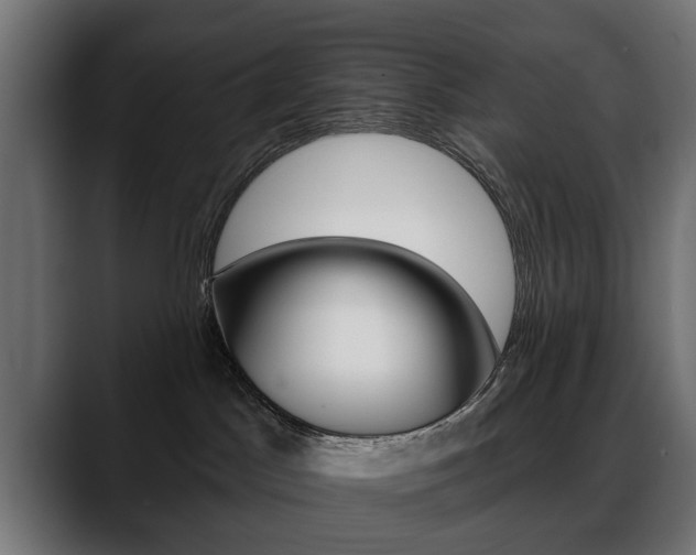 X0000088650045200705250950
