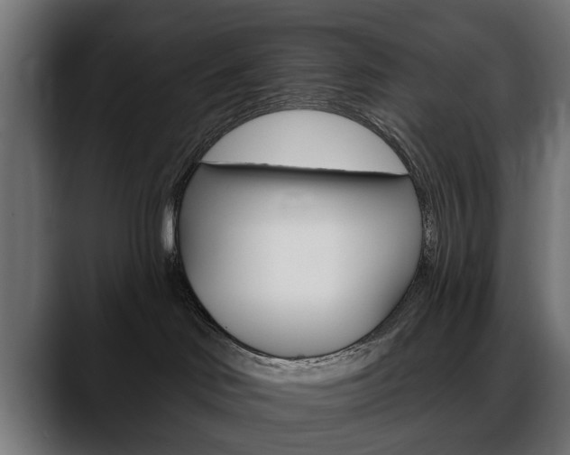 X0000088650046200705250950
