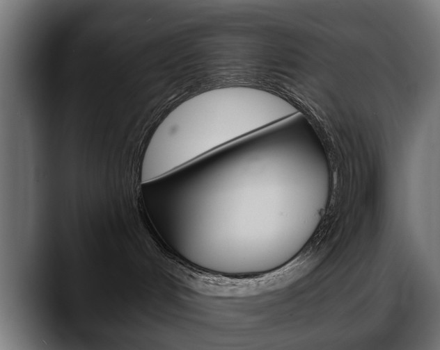 X0000088650048200705250950