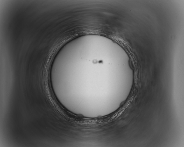 X0000088650049200705250950