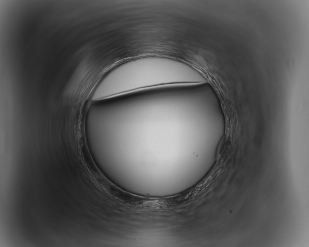X0000088650050200705250950