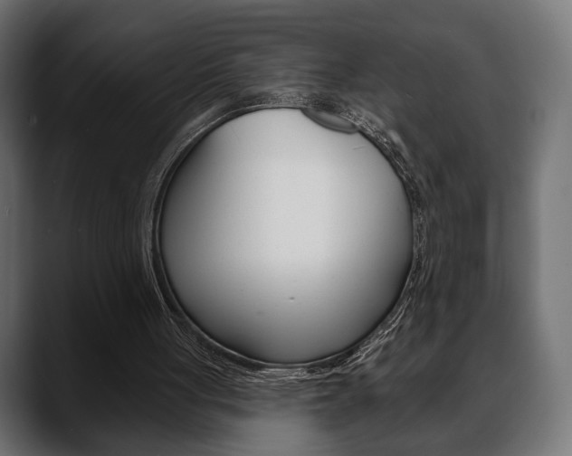 X0000088650051200705250950