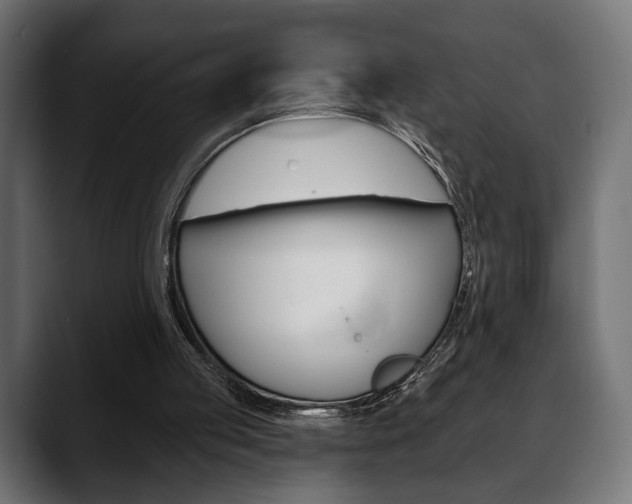 X0000088650053200705250950