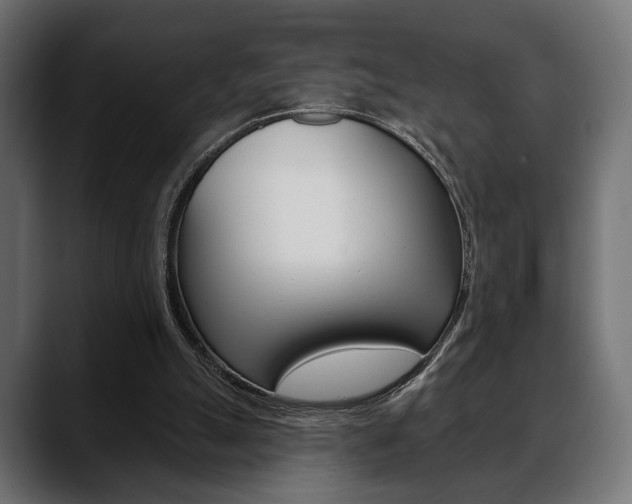 X0000088650055200705250950