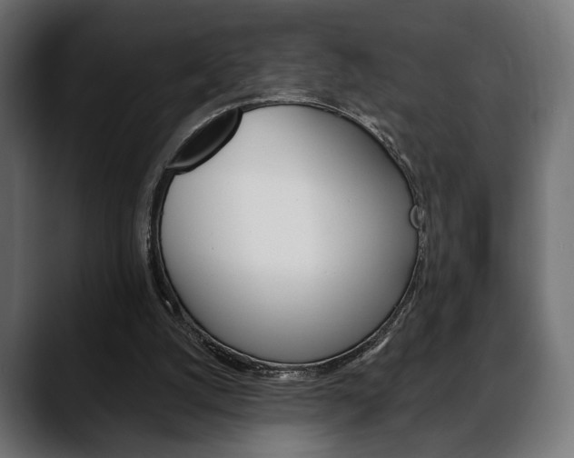 X0000088650056200705250950