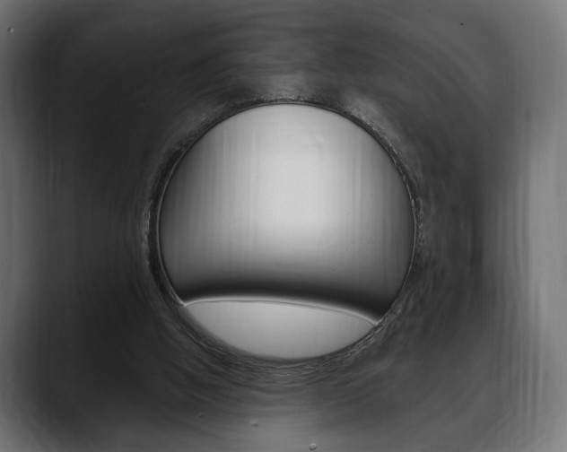 X0000088650058200705250950