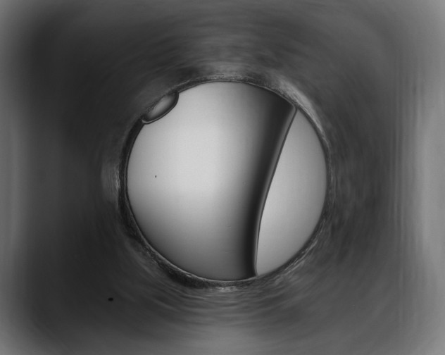 X0000088650059200705250950