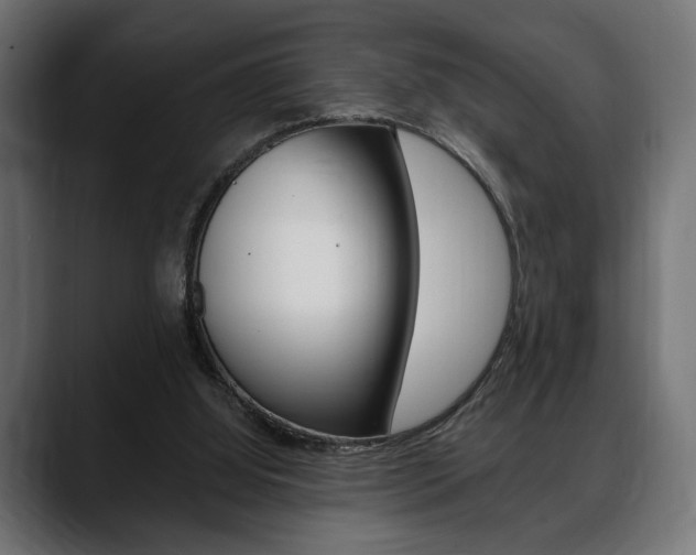 X0000088650060200705250950