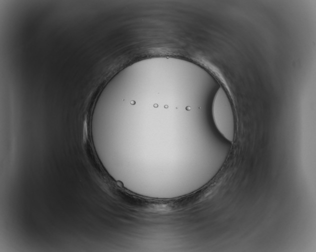 X0000088650061200705250950