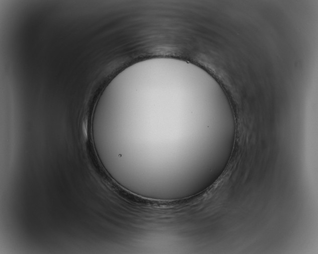 X0000088650062200705250950