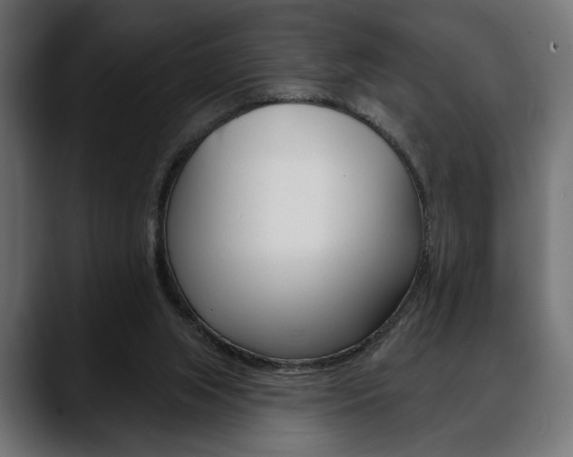 X0000088650063200705250950