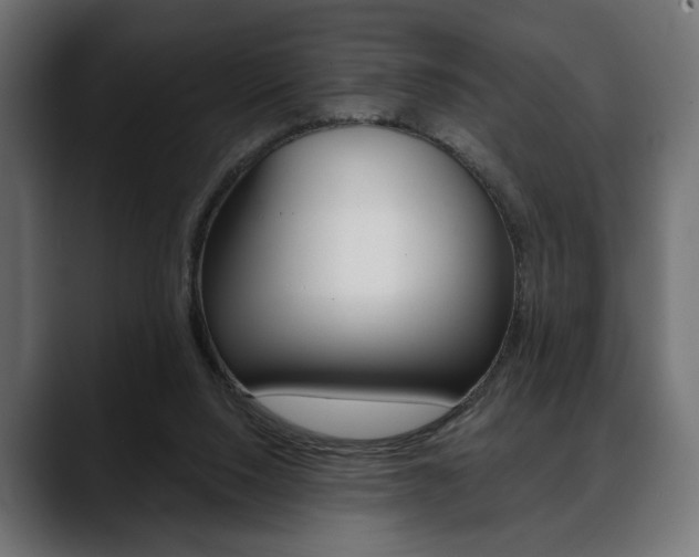 X0000088650064200705250950