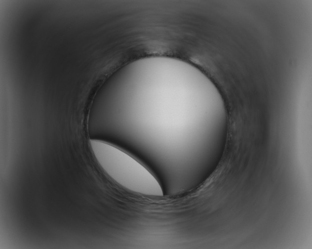 X0000088650066200705250950