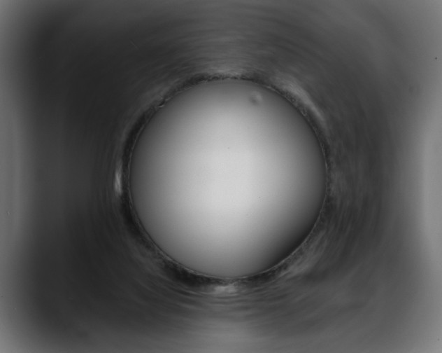 X0000088650068200705250950