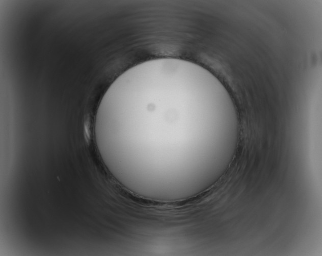 X0000088650069200705250950