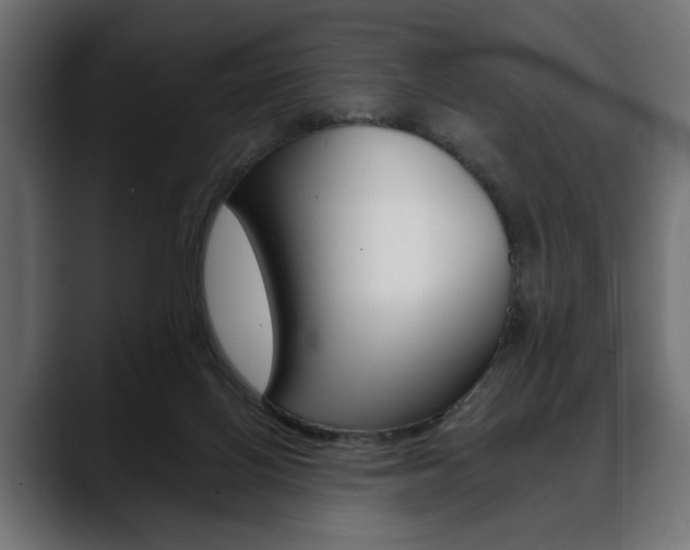 X0000088650070200705250950
