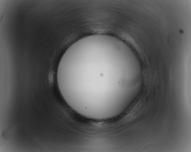 X0000088650071200705250950