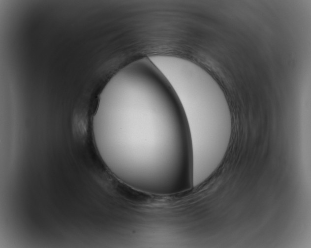 X0000088650072200705250950