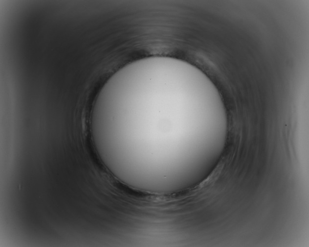 X0000088650074200705250950