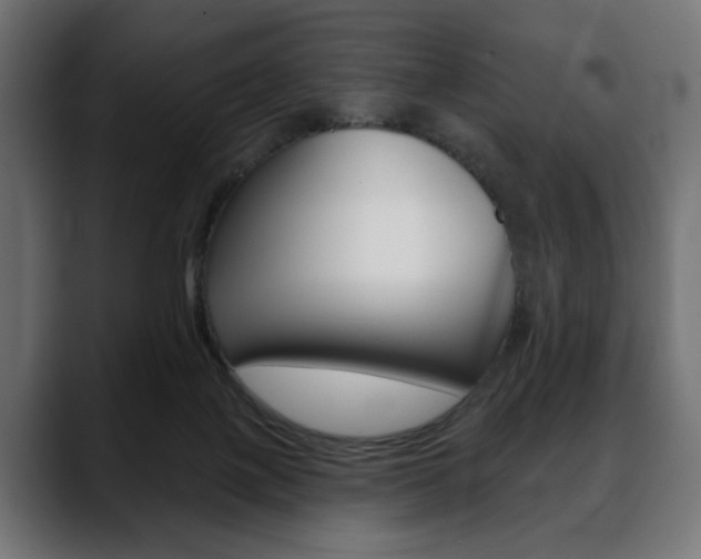 X0000088650075200705250950