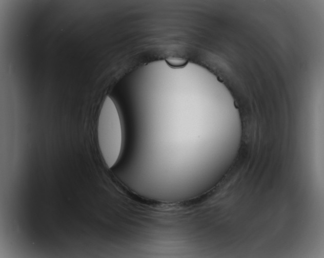 X0000088650077200705250950