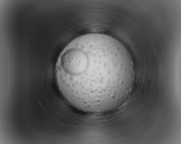 X0000088650078200705250950