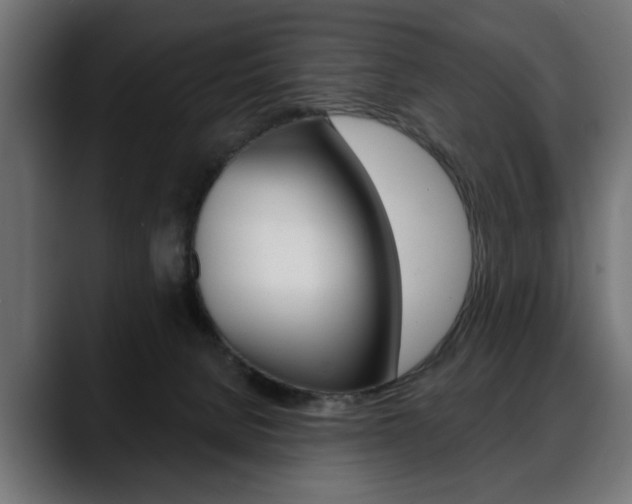 X0000088650080200705250950