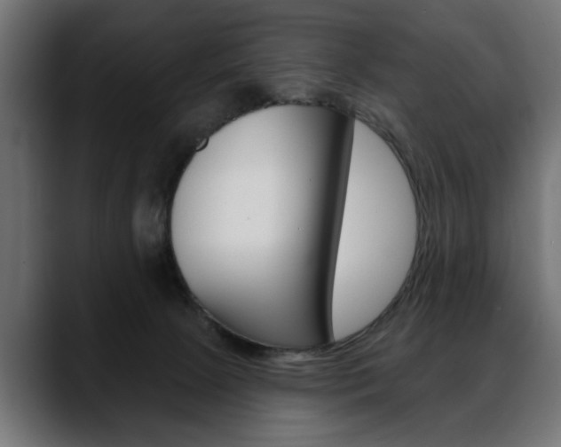 X0000088650081200705250950