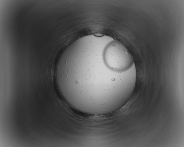 X0000088650082200705250950