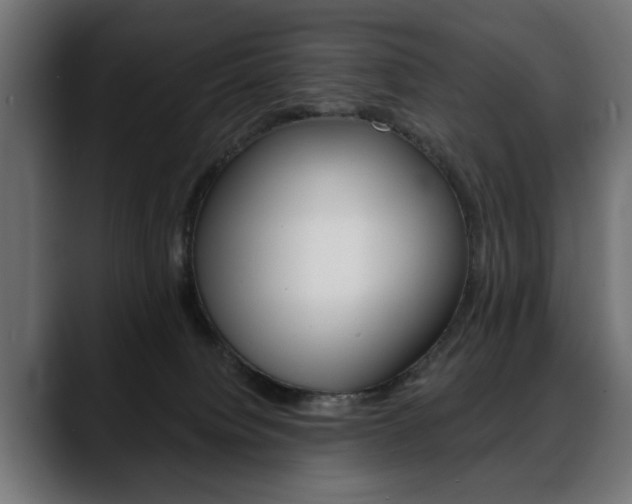 X0000088650084200705250950