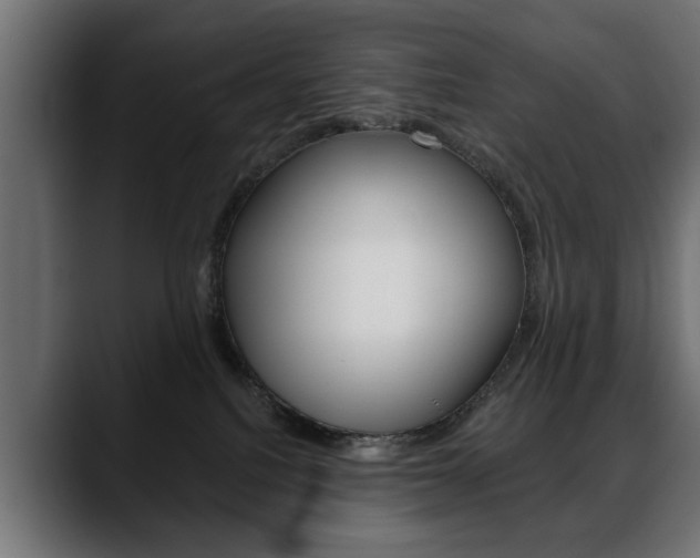 X0000088650088200705250950