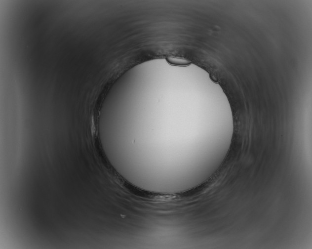 X0000088650089200705250950