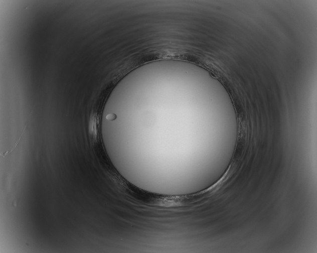 X0000088650094200705250950