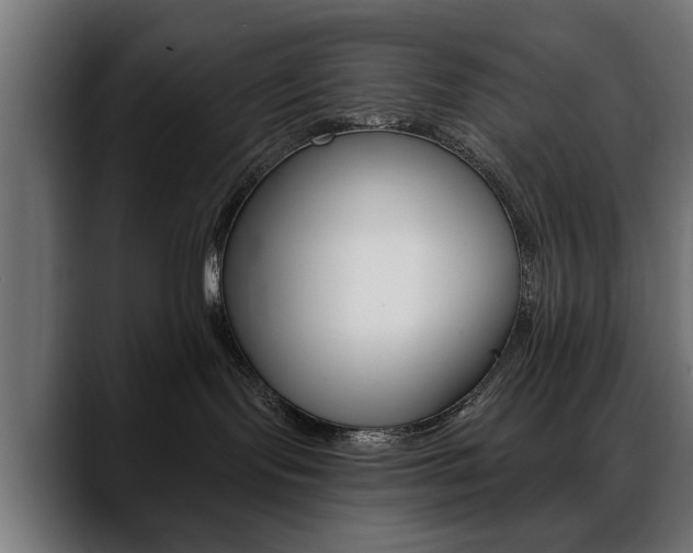 X0000088650095200705250950