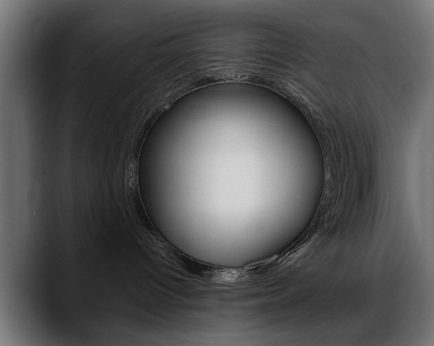 X0000088650096200705250950