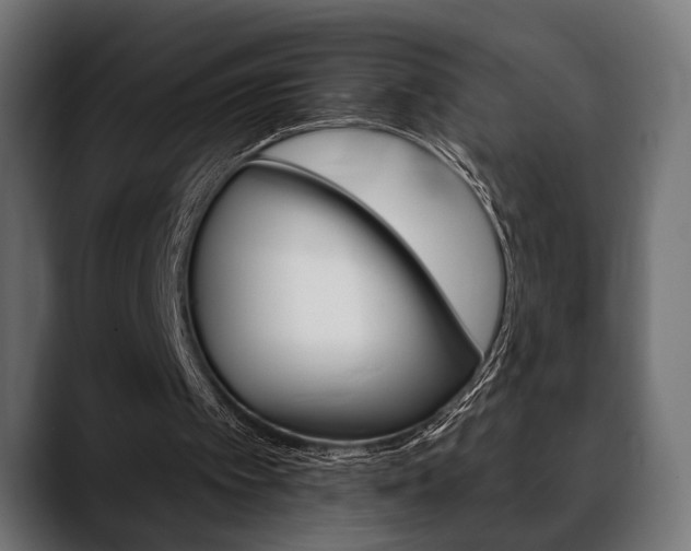 X0000088650097200705250950