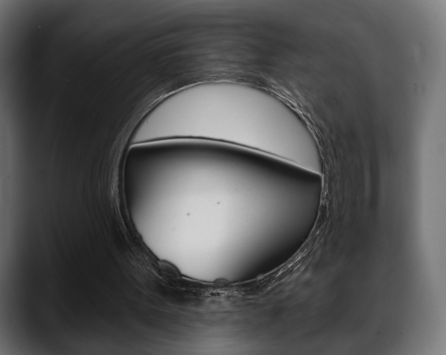 X0000088650099200705250950