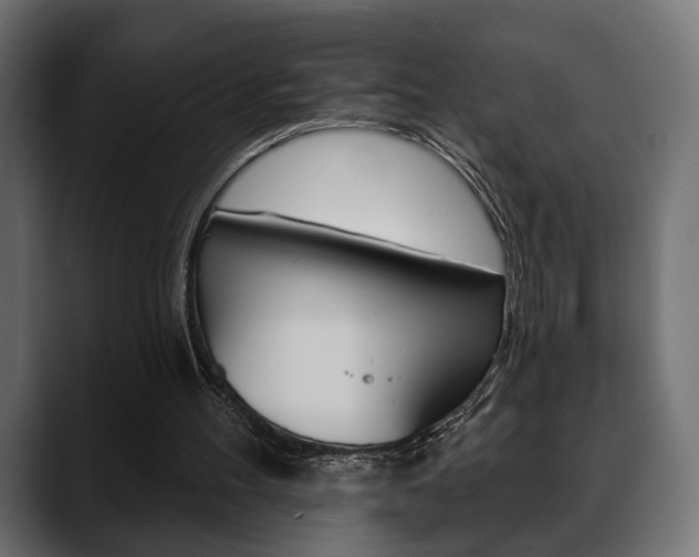 X0000088650100200705250950
