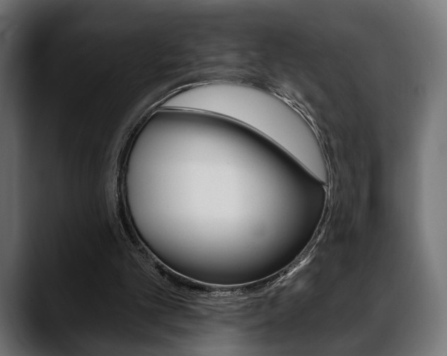 X0000088650101200705250950