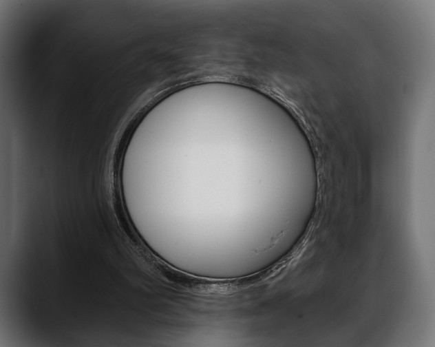 X0000088650102200705250950