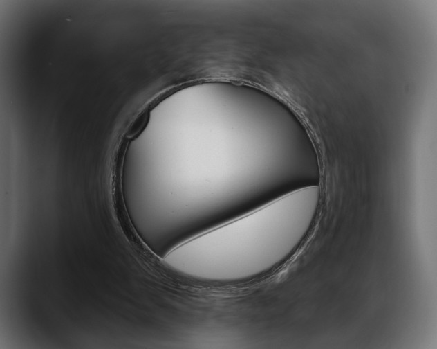 X0000088650103200705250950