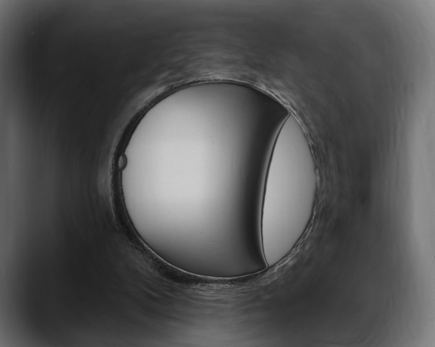 X0000088650104200705250950