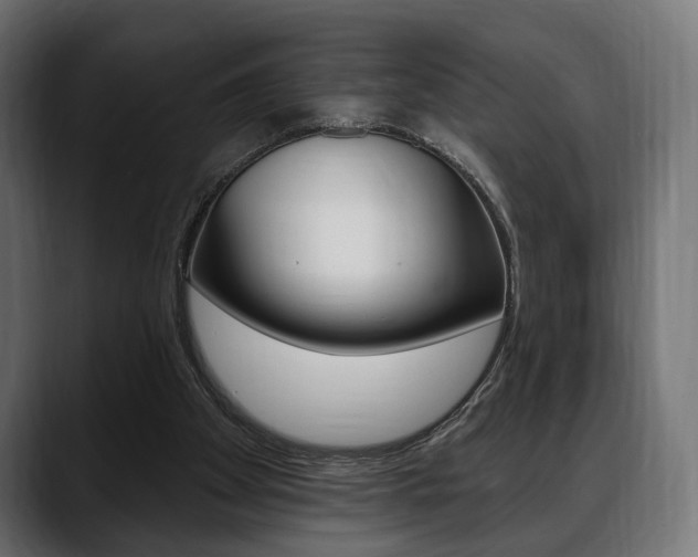 X0000088650105200705250950