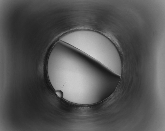 X0000088650108200705250950