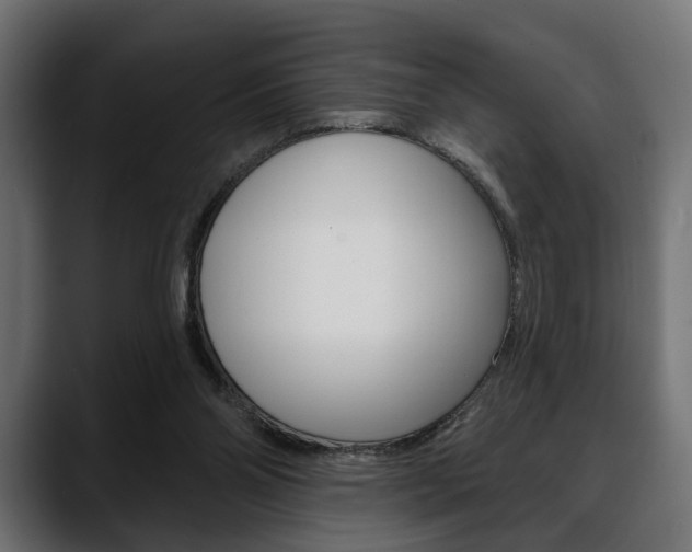 X0000088650110200705250950