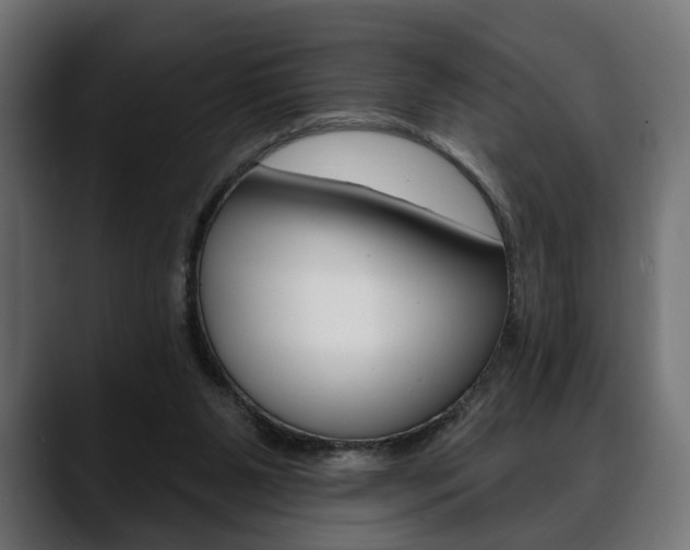 X0000088650111200705250950