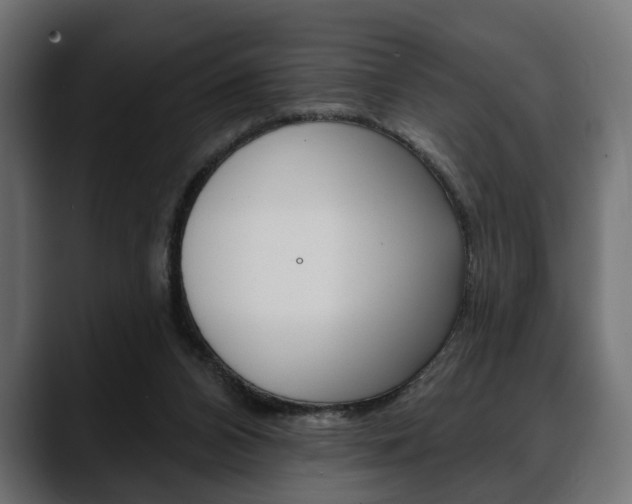 X0000088650112200705250950