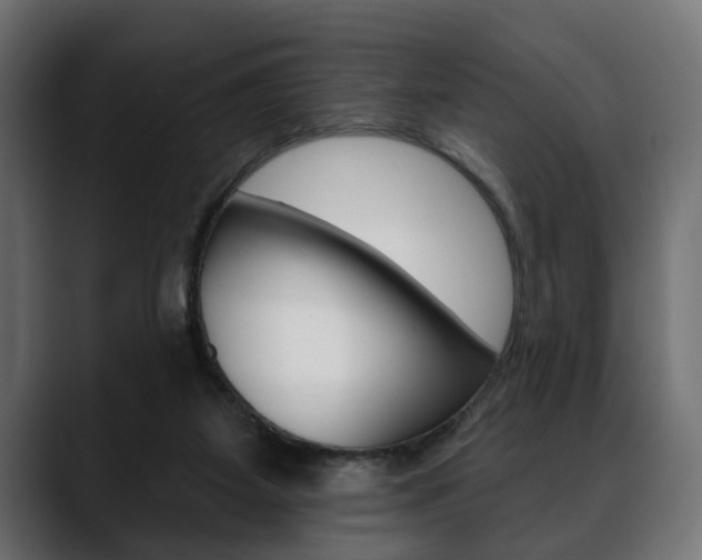 X0000088650115200705250949