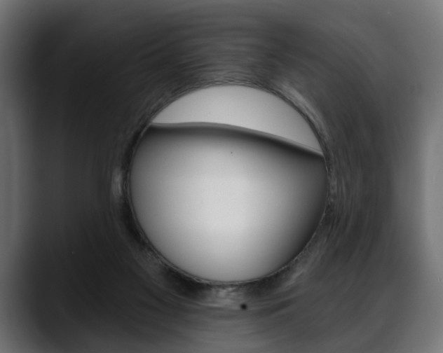 X0000088650117200705250949
