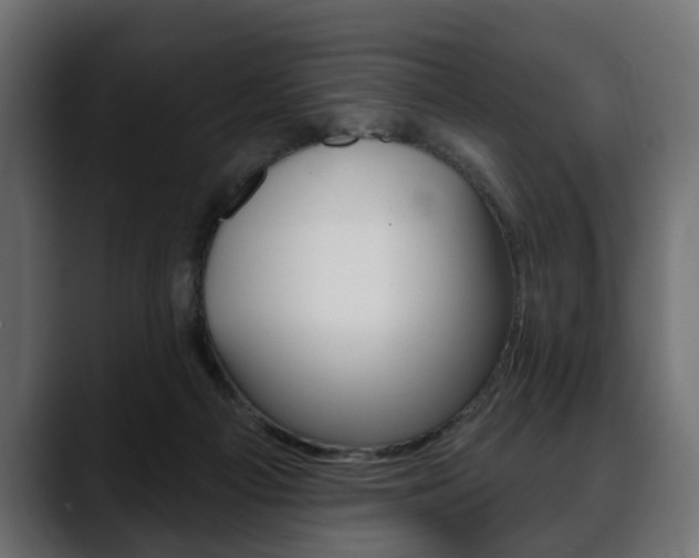 X0000088650121200705250949